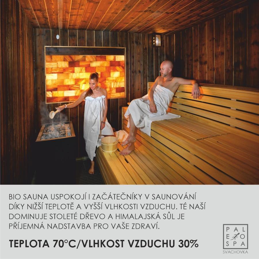 Wellness Hotel Svachovka Mírkovice Екстериор снимка